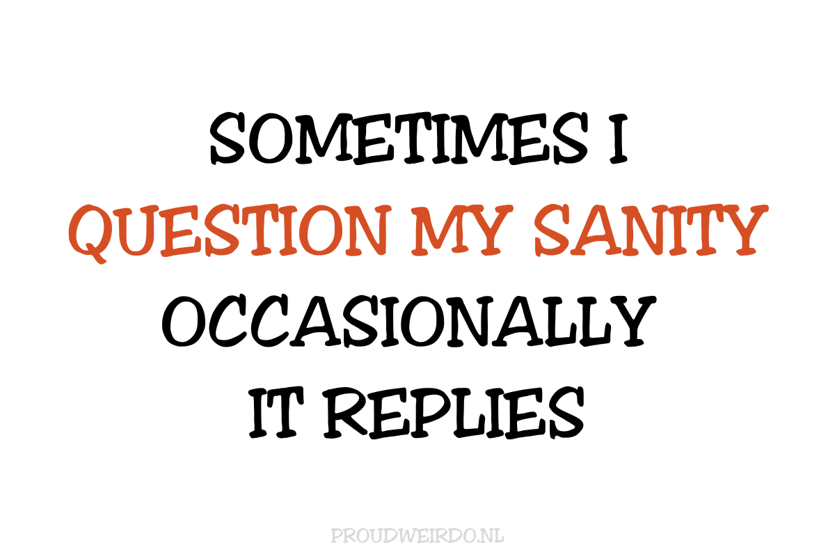 Sometimes I question my sanity occasionally it replies (Fobieënkoningin)